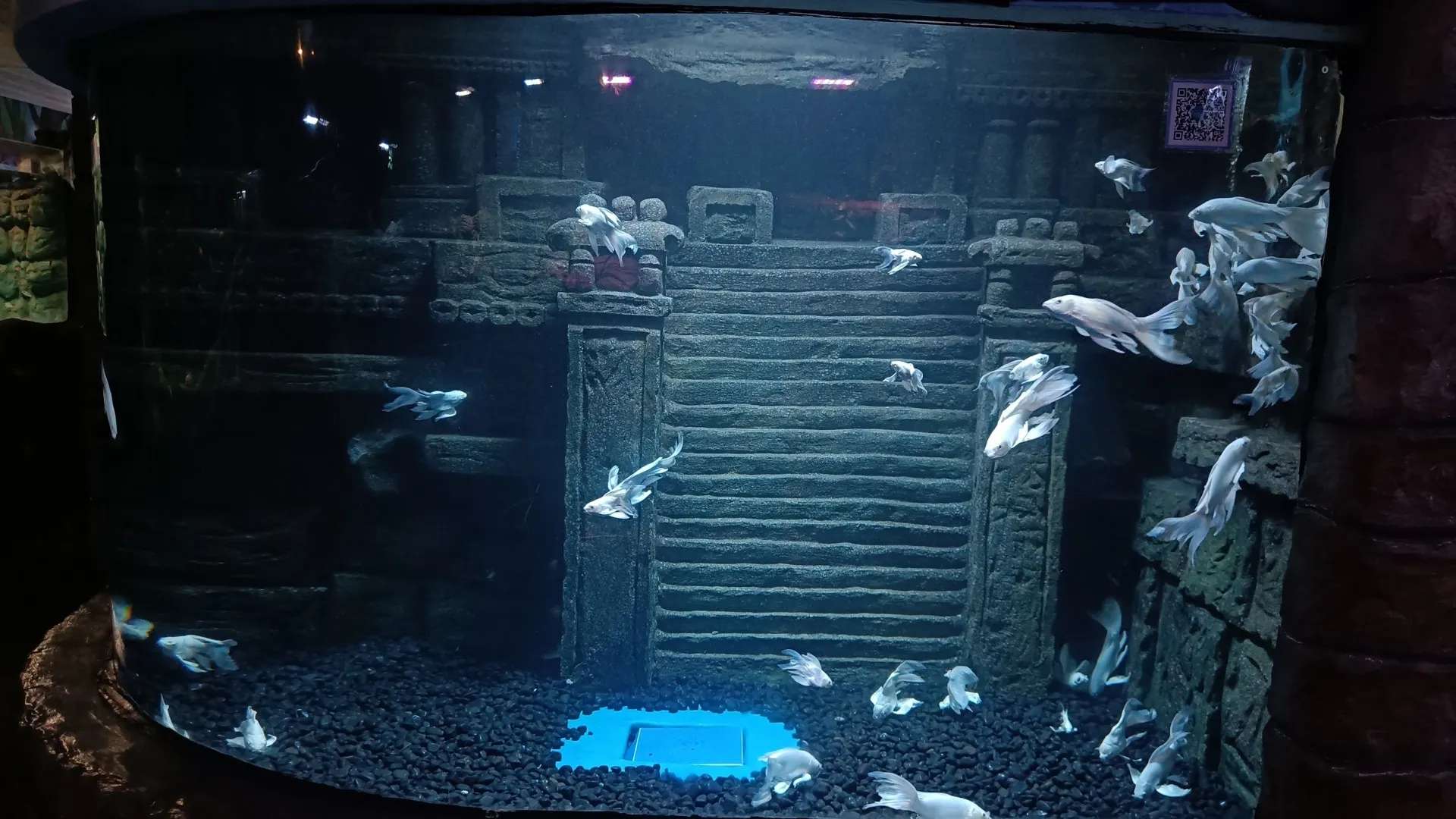 Ocean Experiences in India: What You Sign Up For